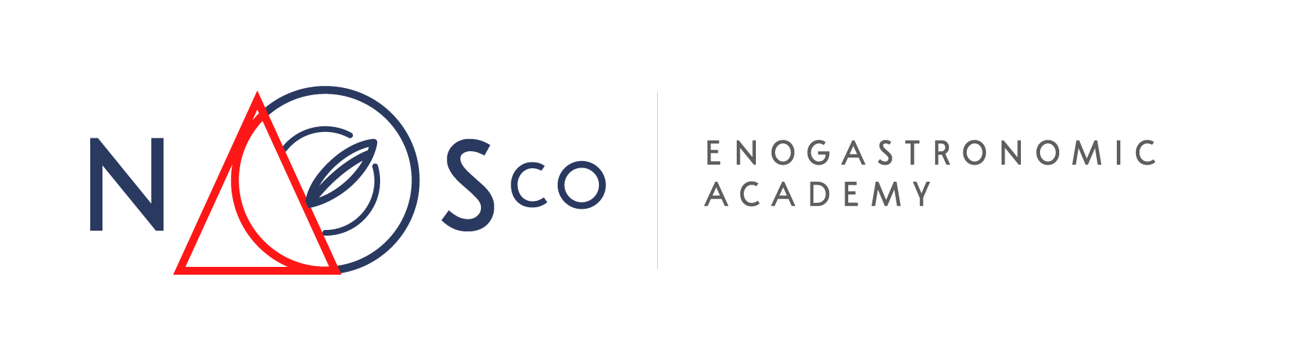 NAOS co Academy
